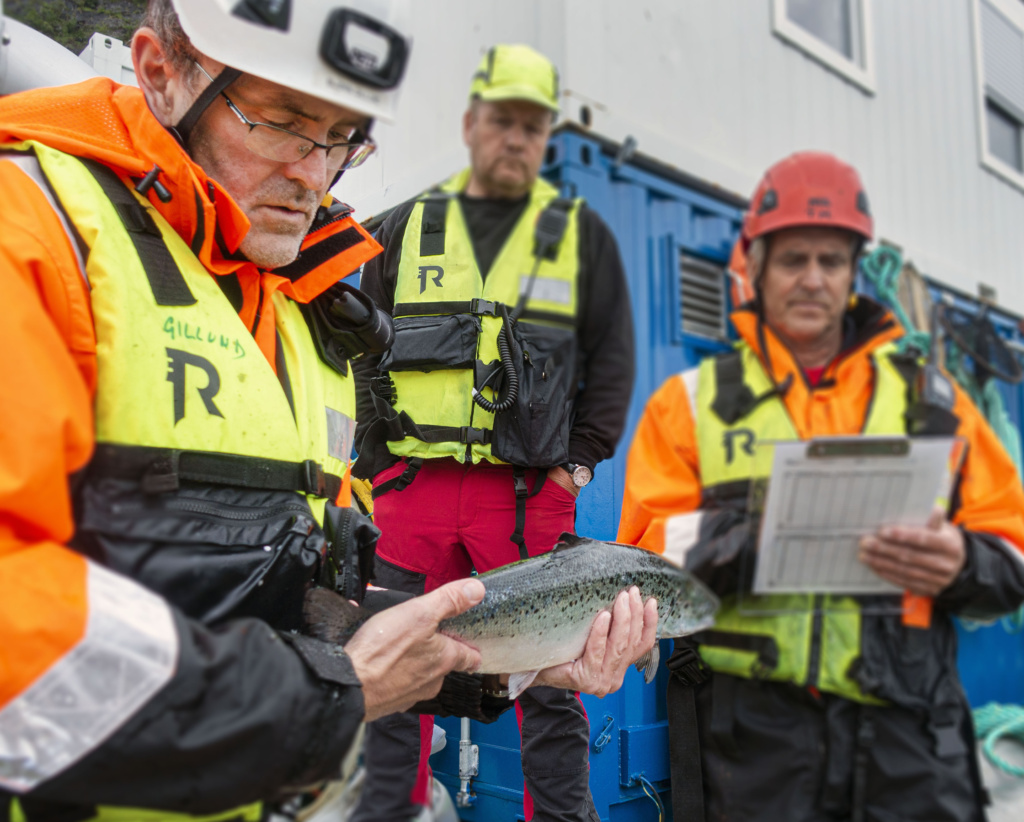 Bedømming av fiskevelferd ved SkaMik 1.5. Ingen lus